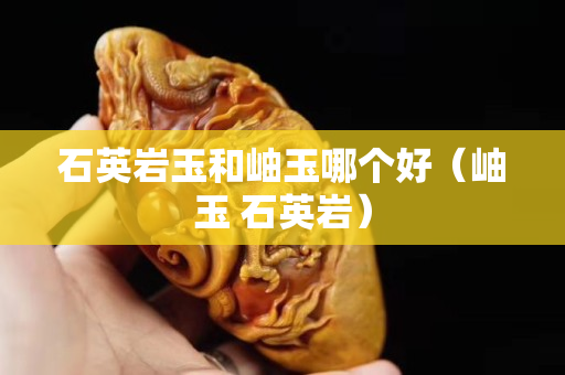 石英巖玉和岫玉哪個好（岫玉 石英巖）