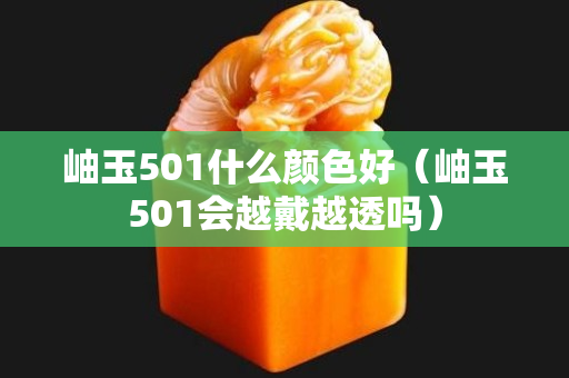 岫玉501什么顏色好（岫玉501會越戴越透嗎）