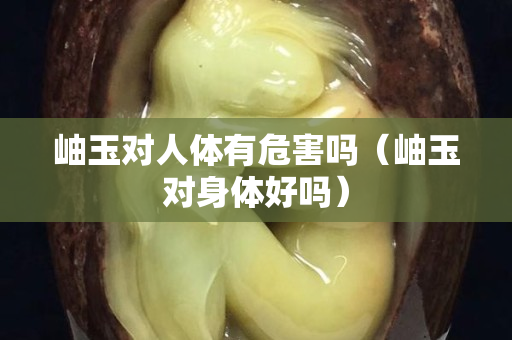 岫玉對人體有危害嗎（岫玉對身體好嗎）