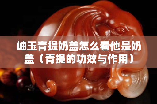 岫玉青提奶蓋怎么看他是奶蓋（青提的功效與作用）