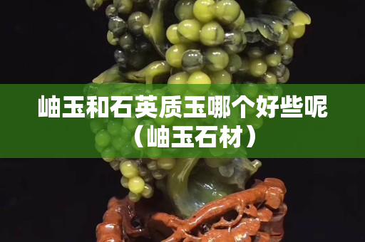 岫玉和石英質(zhì)玉哪個(gè)好些呢（岫玉石材）