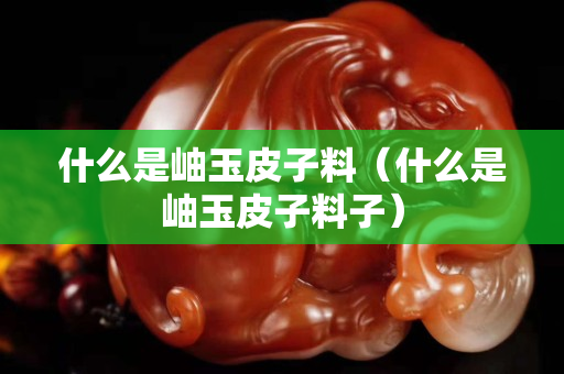 什么是岫玉皮子料（什么是岫玉皮子料子）