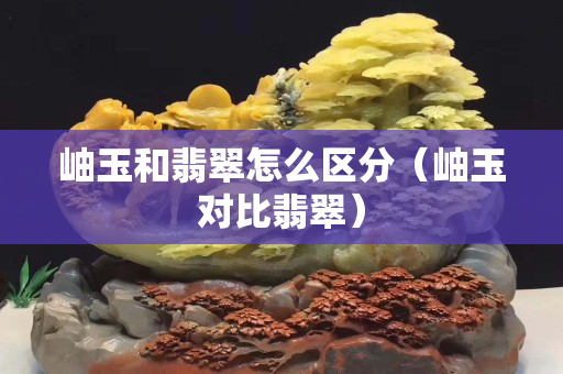 岫玉和翡翠怎么區分（岫玉對比翡翠）