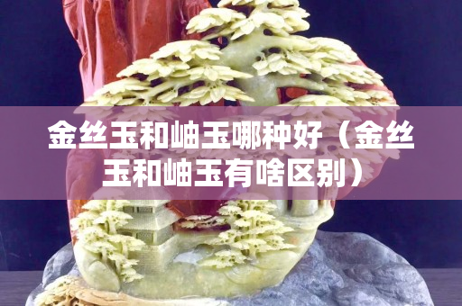 金絲玉和岫玉哪種好（金絲玉和岫玉有啥區(qū)別）