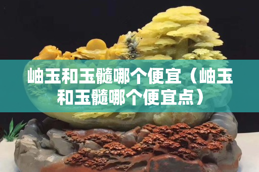岫玉和玉髓哪個(gè)便宜（岫玉和玉髓哪個(gè)便宜點(diǎn)）