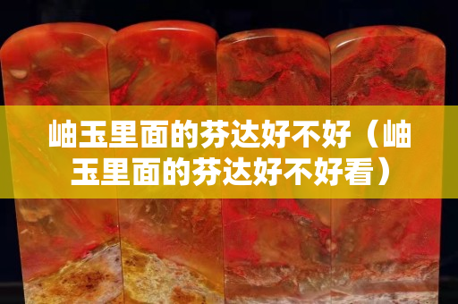 岫玉里面的芬達好不好（岫玉里面的芬達好不好看）