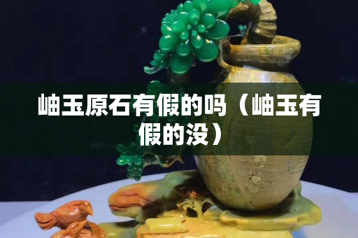 岫玉原石有假的嗎（岫玉有假的沒(méi)）