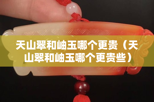 天山翠和岫玉哪個更貴（天山翠和岫玉哪個更貴些）