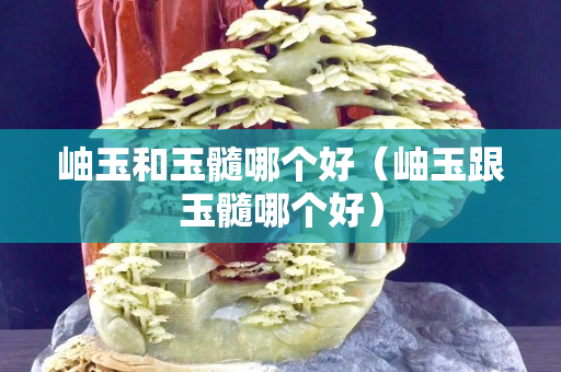 岫玉和玉髓哪個好（岫玉跟玉髓哪個好）