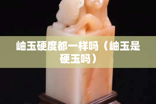 岫玉硬度都一樣嗎（岫玉是硬玉嗎）
