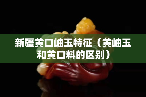 新疆黃口岫玉特征（黃岫玉和黃口料的區別）
