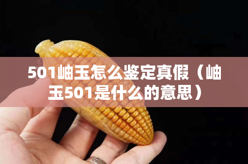 501岫玉怎么鑒定真假（岫玉501是什么的意思）