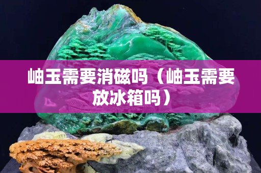 岫玉需要消磁嗎（岫玉需要放冰箱嗎）