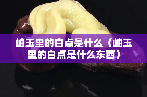 岫玉里的白點(diǎn)是什么（岫玉里的白點(diǎn)是什么東西）