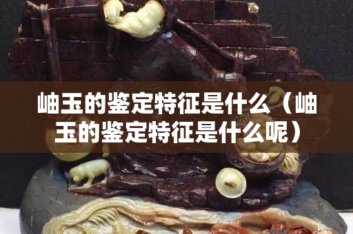 岫玉的鑒定特征是什么（岫玉的鑒定特征是什么呢）