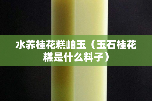 水養(yǎng)桂花糕岫玉（玉石桂花糕是什么料子）