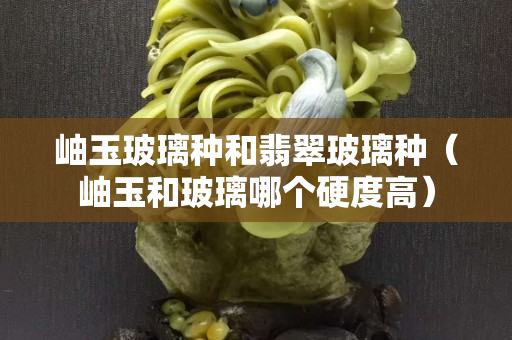 岫玉玻璃種和翡翠玻璃種（岫玉和玻璃哪個硬度高）