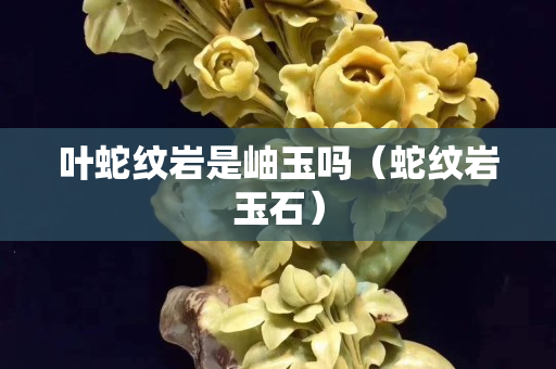 葉蛇紋巖是岫玉嗎（蛇紋巖玉石）