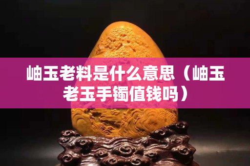 岫玉老料是什么意思（岫玉老玉手鐲值錢嗎）