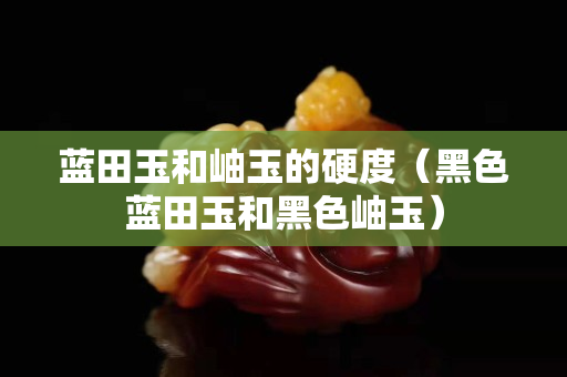 藍田玉和岫玉的硬度（黑色藍田玉和黑色岫玉）