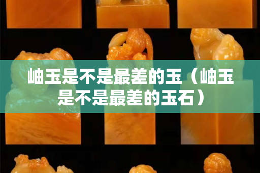 岫玉是不是最差的玉（岫玉是不是最差的玉石）