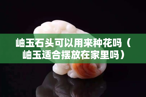 岫玉石頭可以用來種花嗎（岫玉適合擺放在家里嗎）