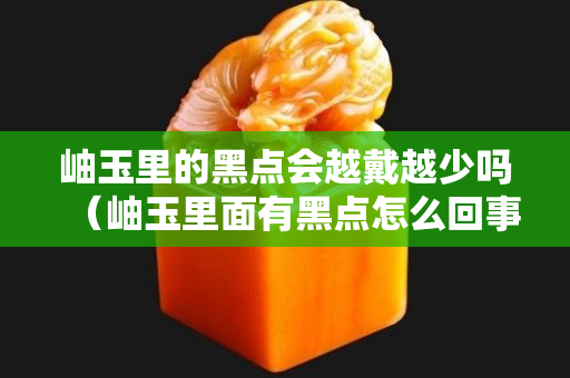 岫玉里的黑點(diǎn)會(huì)越戴越少嗎（岫玉里面有黑點(diǎn)怎么回事）