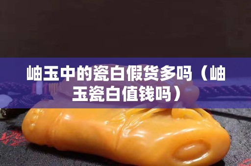 岫玉中的瓷白假貨多嗎（岫玉瓷白值錢嗎）