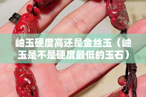 岫玉硬度高還是金絲玉（岫玉是不是硬度最低的玉石）