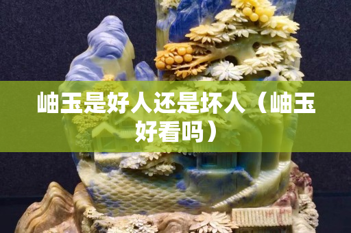 岫玉是好人還是壞人（岫玉好看嗎）