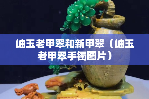 岫玉老甲翠和新甲翠（岫玉老甲翠手鐲圖片）