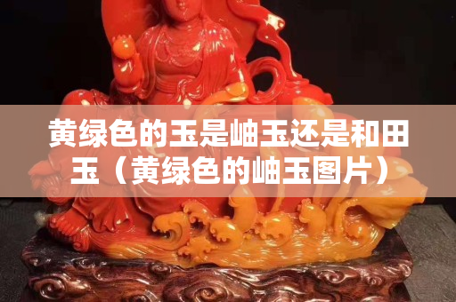 黃綠色的玉是岫玉還是和田玉（黃綠色的岫玉圖片）