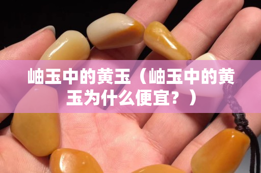 岫玉中的黃玉（岫玉中的黃玉為什么便宜？）