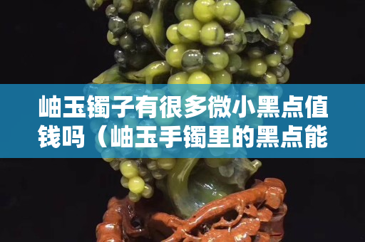 岫玉鐲子有很多微小黑點值錢嗎（岫玉手鐲里的黑點能帶沒嘛）