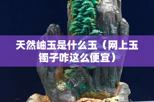 天然岫玉是什么玉（網上玉鐲子咋這么便宜）