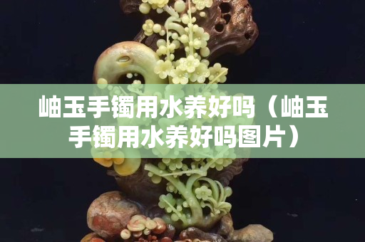 岫玉手鐲用水養好嗎（岫玉手鐲用水養好嗎圖片）