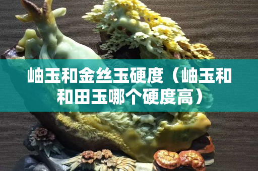 岫玉和金絲玉硬度（岫玉和和田玉哪個硬度高）