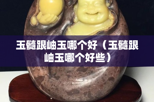 玉髓跟岫玉哪個(gè)好（玉髓跟岫玉哪個(gè)好些）