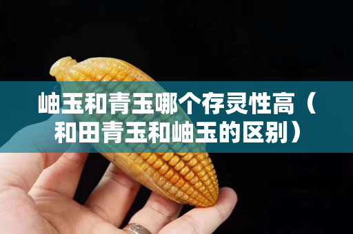 岫玉和青玉哪個存靈性高（和田青玉和岫玉的區別）