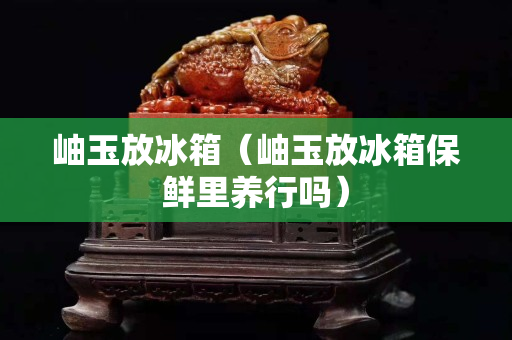 岫玉放冰箱（岫玉放冰箱保鮮里養行嗎）