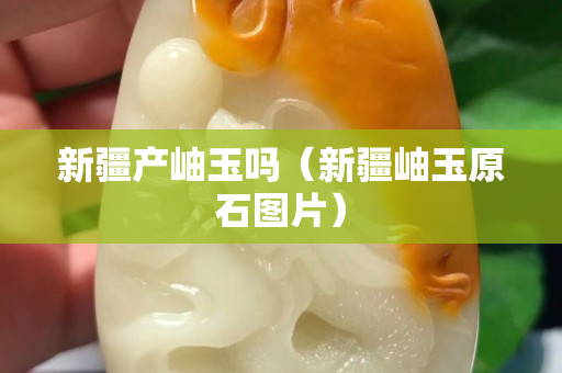 新疆產(chǎn)岫玉嗎（新疆岫玉原石圖片）