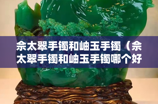 佘太翠手鐲和岫玉手鐲（佘太翠手鐲和岫玉手鐲哪個好）
