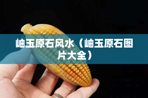 岫玉原石風水（岫玉原石圖片大全）