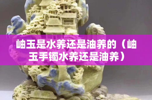 岫玉是水養(yǎng)還是油養(yǎng)的（岫玉手鐲水養(yǎng)還是油養(yǎng)）