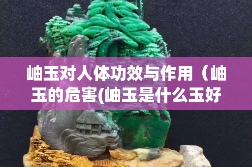岫玉對人體功效與作用（岫玉的危害(岫玉是什么玉好還是不好)）