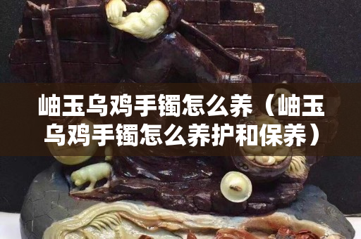 岫玉烏雞手鐲怎么養(yǎng)（岫玉烏雞手鐲怎么養(yǎng)護(hù)和保養(yǎng)）