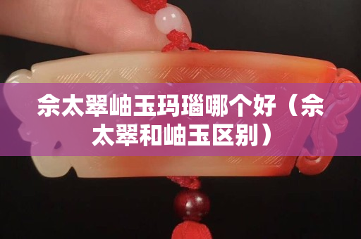 佘太翠岫玉瑪瑙哪個好（佘太翠和岫玉區別）