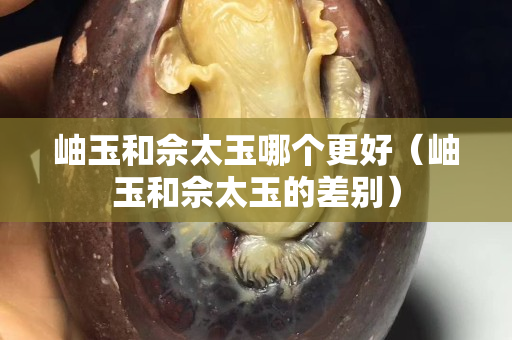 岫玉和佘太玉哪個更好（岫玉和佘太玉的差別）