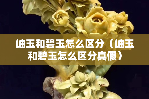 岫玉和碧玉怎么區(qū)分（岫玉和碧玉怎么區(qū)分真假）
