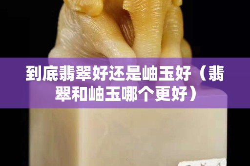 到底翡翠好還是岫玉好（翡翠和岫玉哪個更好）